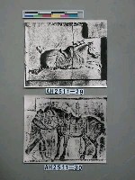 藏品(昭陵六駿之三)的圖片